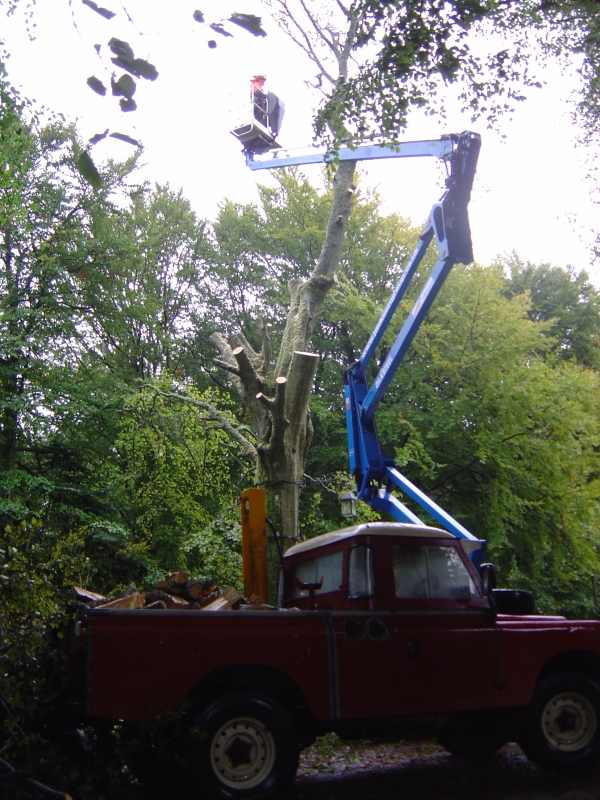 4th October 2008 029